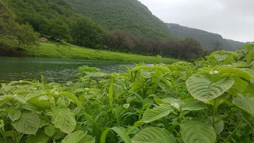 در تور عمان دالاهو فرصت دیدن زیباترین و خاص‌ترین جاهای دیدنی عمان را خواهید داشت.