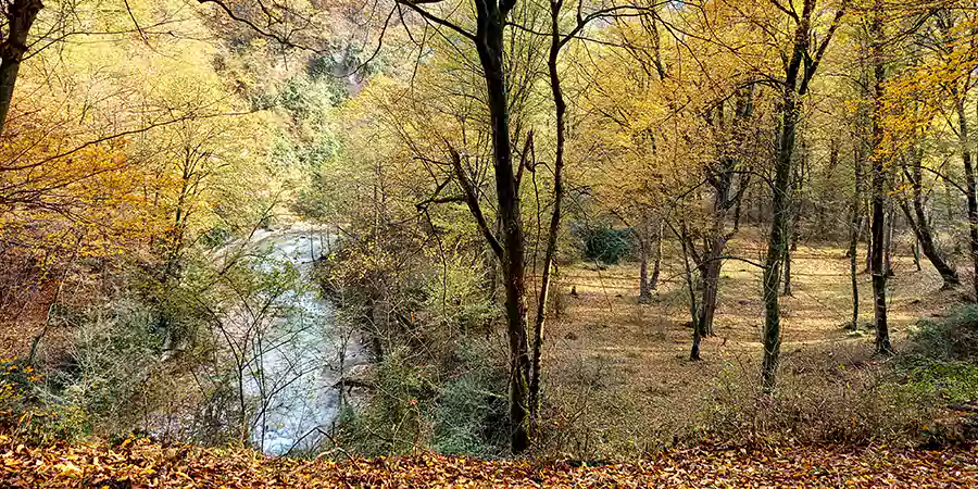پیمایش جنگل بلیران به نارنجستان