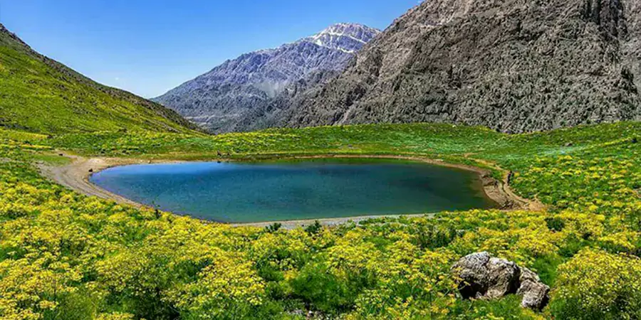دنا و سی سخت؛ دامنه های زاگرس