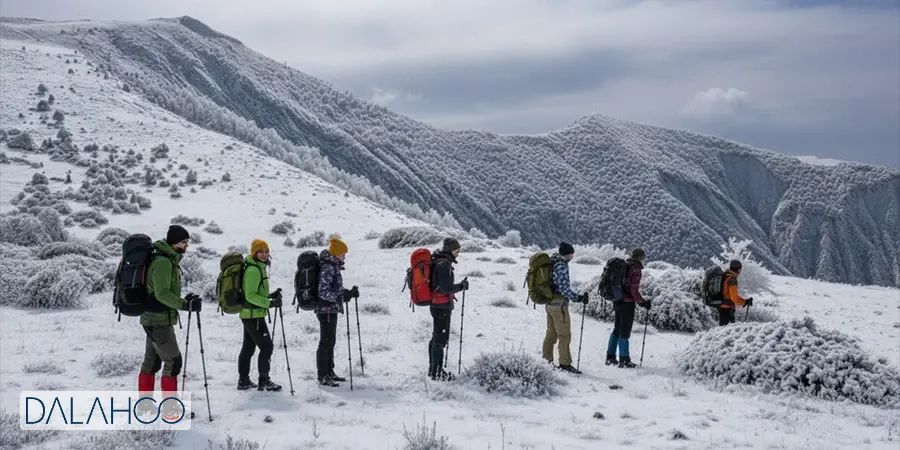 پیمایش زمستانه جنگل جهان‌نما