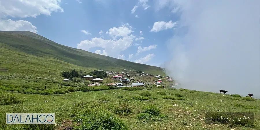 سافاری لمرا تا دالخانی