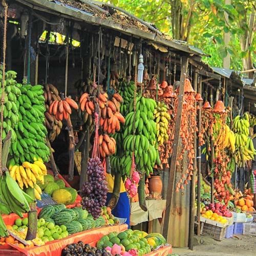 15 میوه جذاب در سریلانکا که باید امتحان‌شان کنید