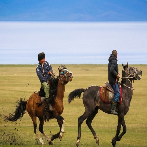 همه چیز درباره اسب‌های قرقیزستان