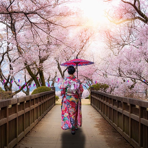 سفرنامه ژاپن