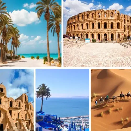 بهترین زمان تور تونس